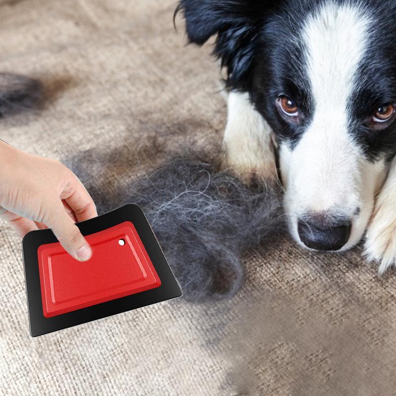 Pet Hair Remover Comb Brush Do - Seat Cleaner Fabric avis et prix